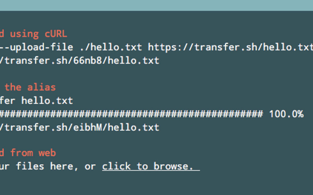 Transfer.sh, servicio para que programadores almacenen y compartan archivos